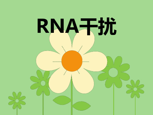 RNA干扰