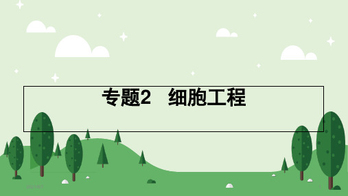 2.1植物细胞工程.ppt