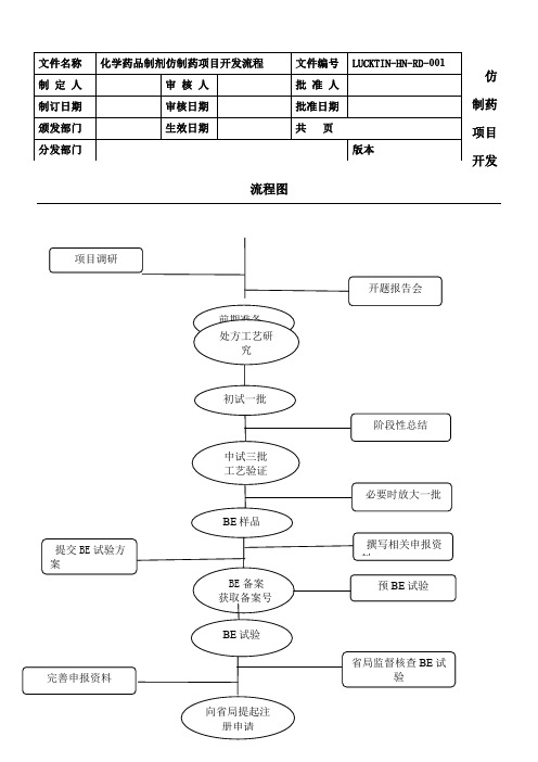 仿制药详细研发流程