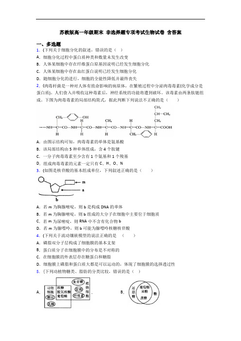 苏教版高一年级期末 非选择题专项考试生物试卷 含答案