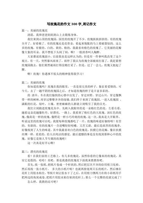 写玫瑰花的作文300字_周记作文