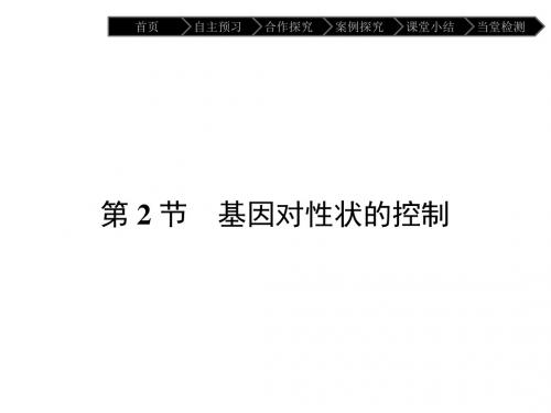 高中生物必修二(人教版 课件)-第4章 基因的表达 4.2