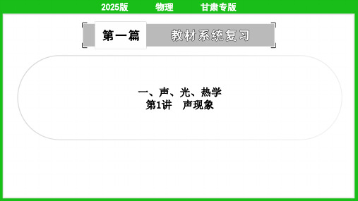 2025年中考物理总复习第二部分考点培优训练第1讲声现象