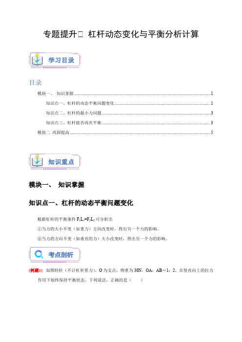 专题提升Ⅰ杠杆动态变化与平衡分析计算(原卷版)