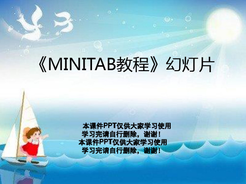 《MINITAB教程》幻灯片