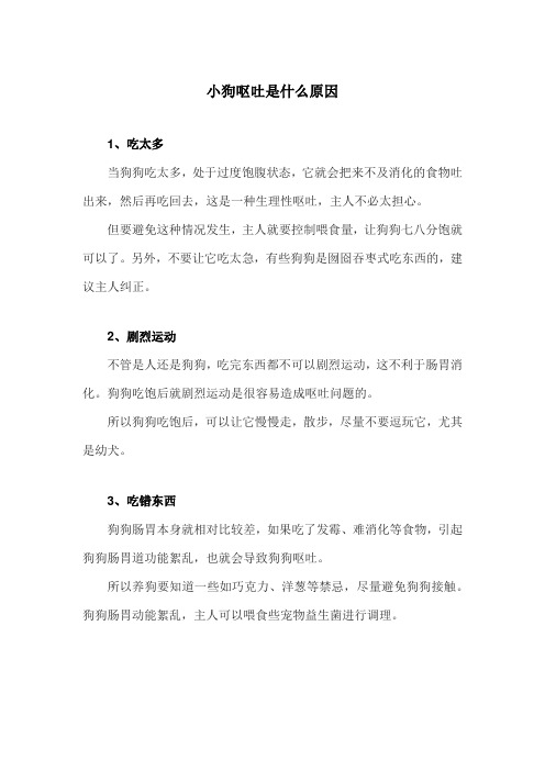 小狗呕吐是什么原因