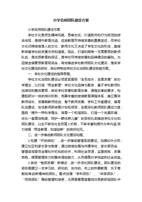 小学名师团队建设方案