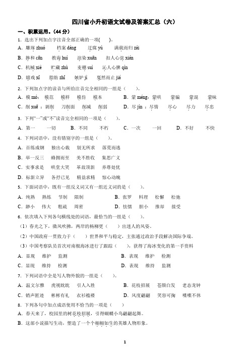 四川省小升初语文试卷及答案汇总(六)