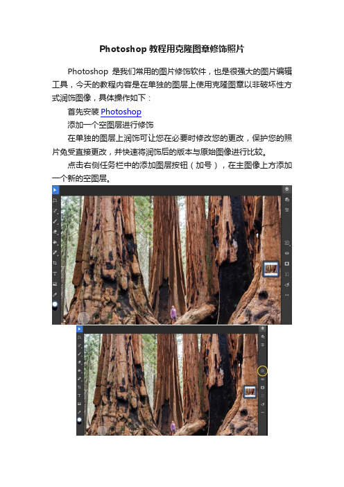 Photoshop教程用克隆图章修饰照片