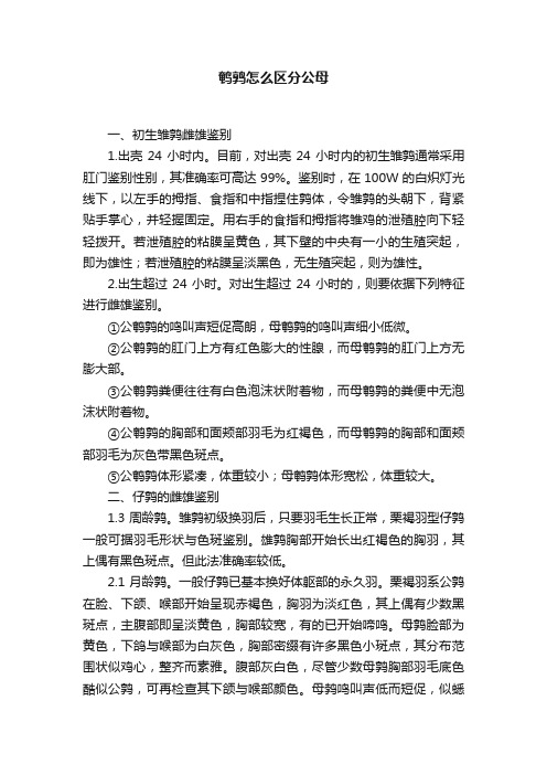 鹌鹑怎么区分公母