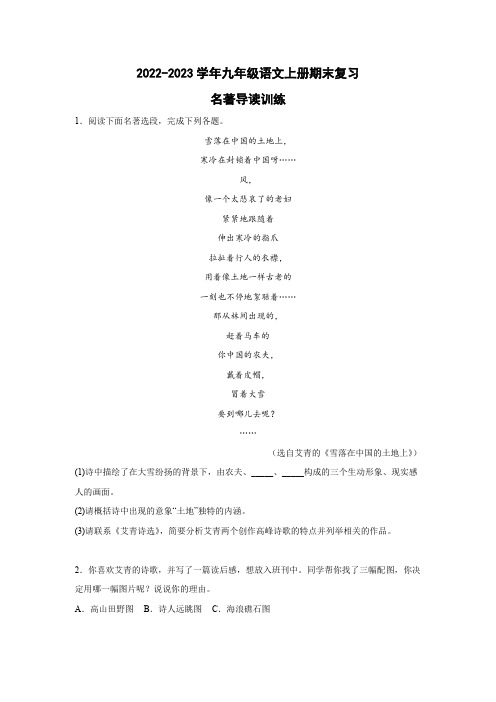 名著导读训练++2022-2023学年部编版语文九年级上册