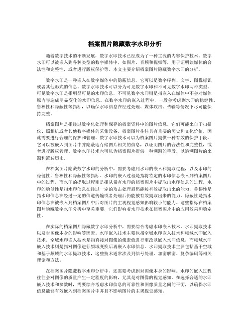 档案图片隐藏数字水印分析