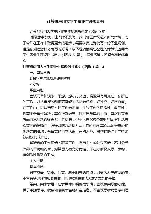 计算机应用大学生职业生涯规划书