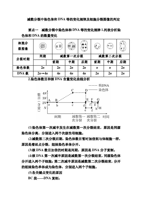 减数分裂中染色体和DNA等的变化规律及细胞分裂图像的判定 说课稿 教案 教学设计