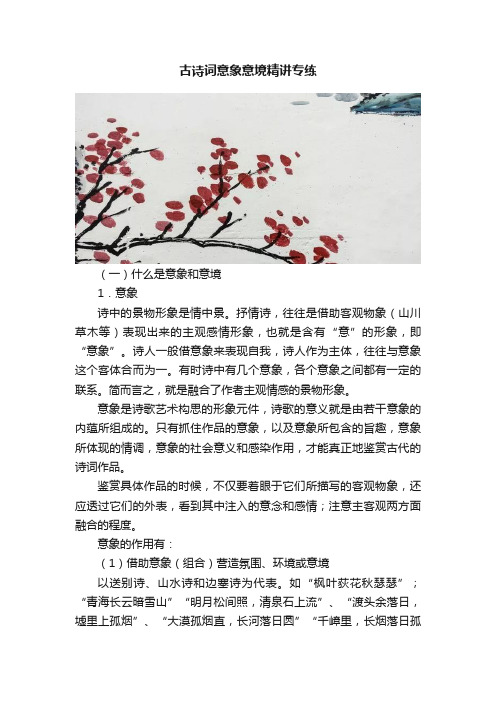 古诗词意象意境精讲专练