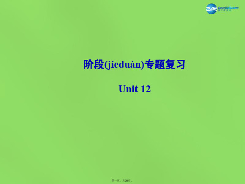 九年级英语全册 Unit 12 You’re supposed to shake hands阶段专题