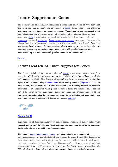 tumor suppressor genes