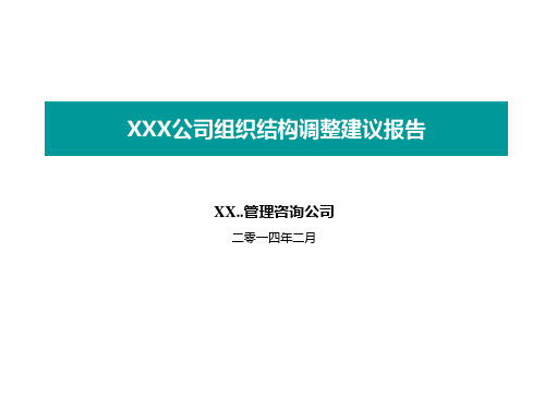 公司组织结构调整建议报告(新)