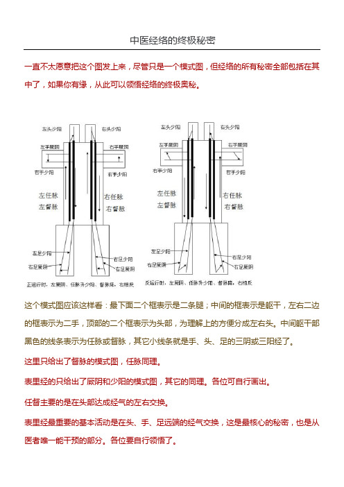 中医经络的终极秘密