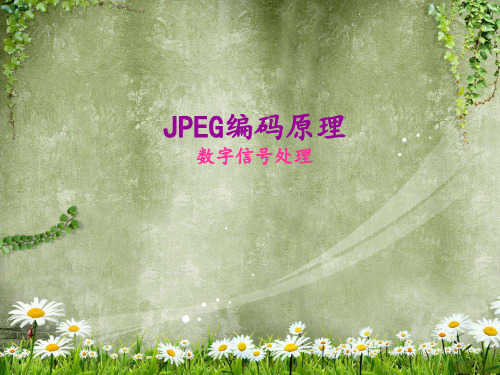 JPEG编码原理