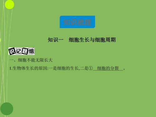 必修一6.1细胞的增殖(共65张PPT)