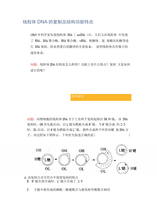 线粒体DNA的复制及结构功能特点