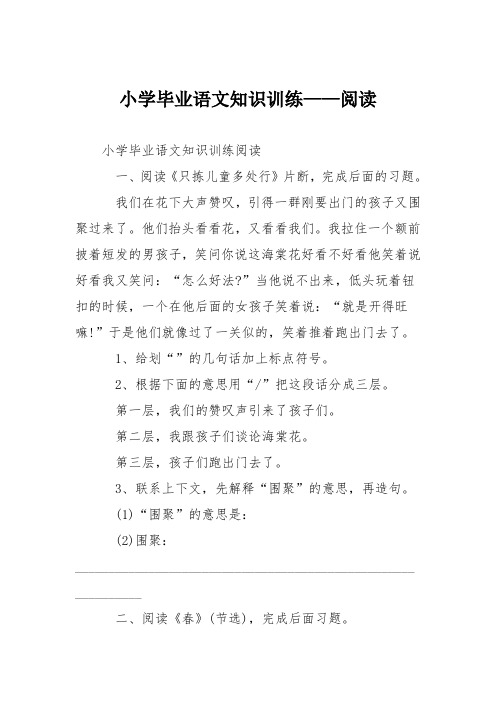 小学毕业语文知识训练——阅读