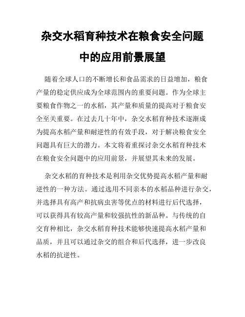 杂交水稻育种技术在粮食安全问题中的应用前景展望