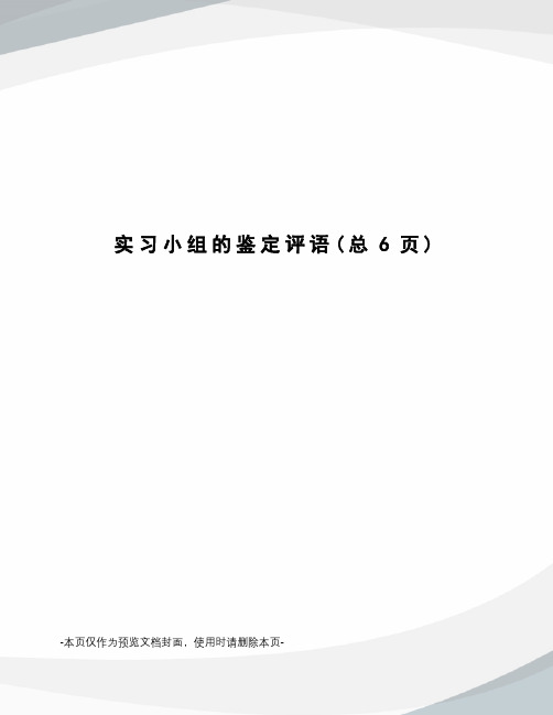 实习小组的鉴定评语