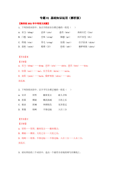 基础知识运用(解析版)-三年(2019-2021)中考真题语文分项汇编(陕西专用)