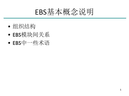 《EBS基本介绍》PPT课件