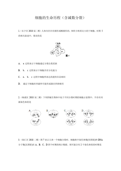 上海2018年各区二模5-细胞的生命历程(含减数分裂)