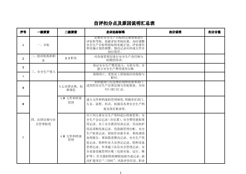 自评扣分点及原因说明汇总表