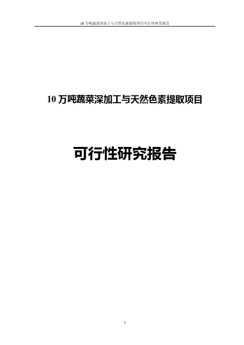 10万吨蔬菜深加工及天然色素提取建设项目可行性研究报告