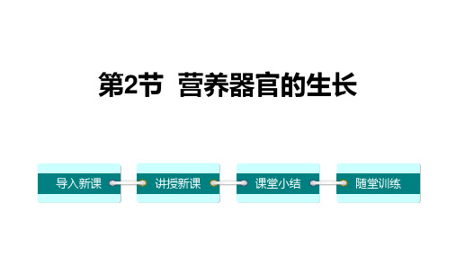 北师大版七年级生物上册 营养器官的生长 教学课件