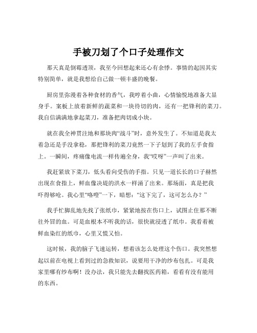 手被刀划了个口子处理作文