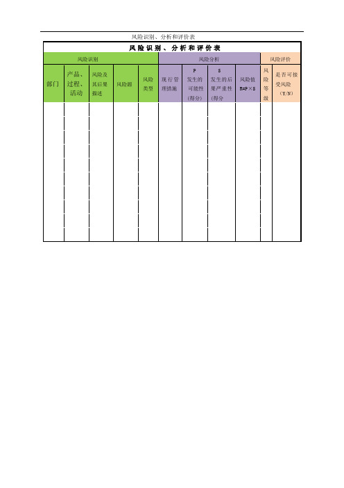 风险识别、分析和评价表