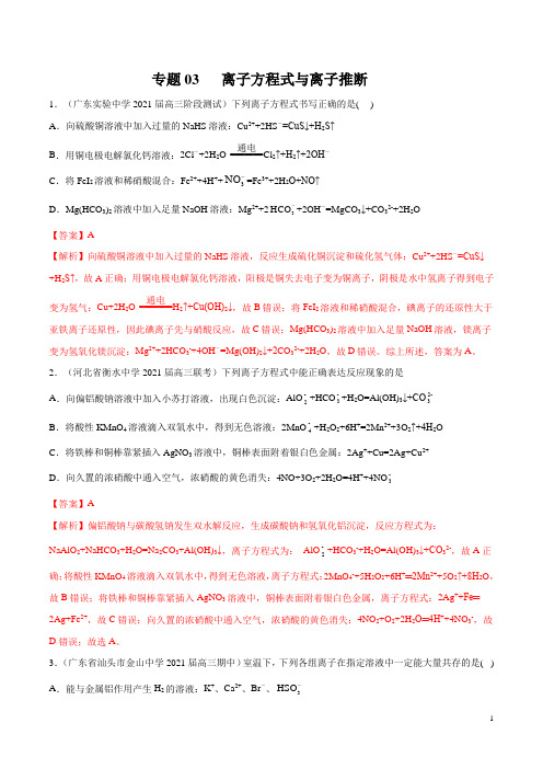 专题04  离子反应方程式与离子推断(解析版)