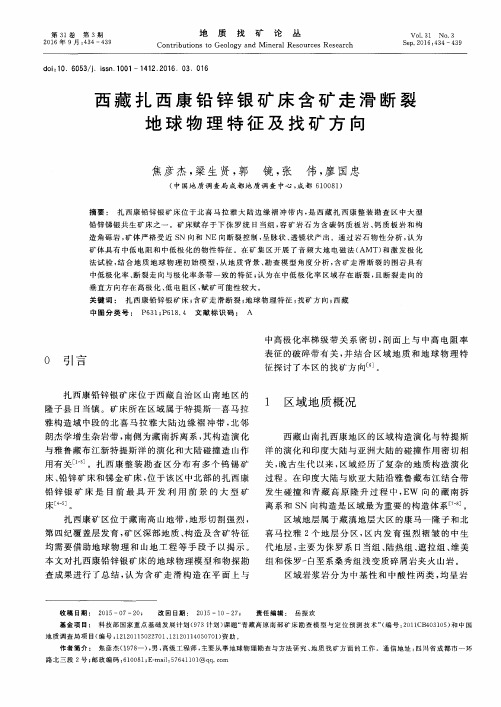 西藏扎西康铅锌银矿床含矿走滑断裂地球物理特征及找矿方向