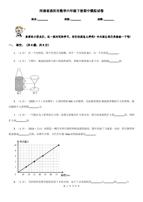 河南省洛阳市数学六年级下册期中模拟试卷