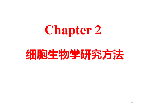 Chapter2 细胞生物学研究方法