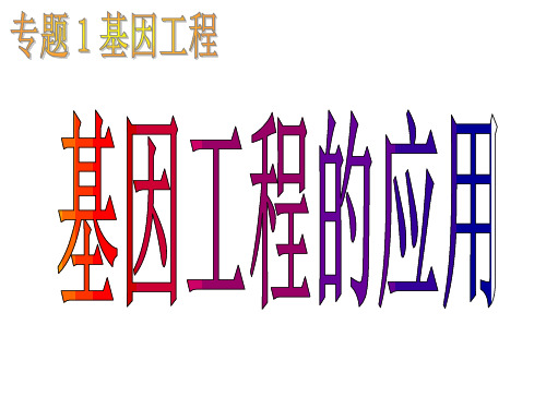 优质课 人教版生物选修三1.3 基因工程应用 教学课件