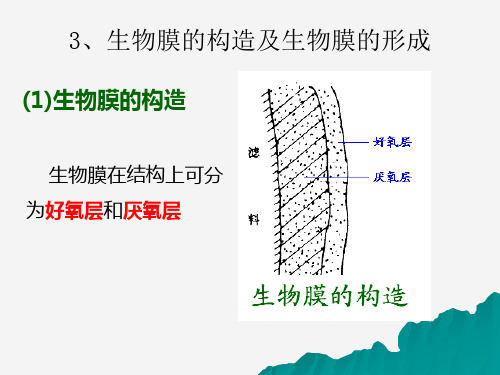 生物膜法环境科学食品科学工程科技专业资料