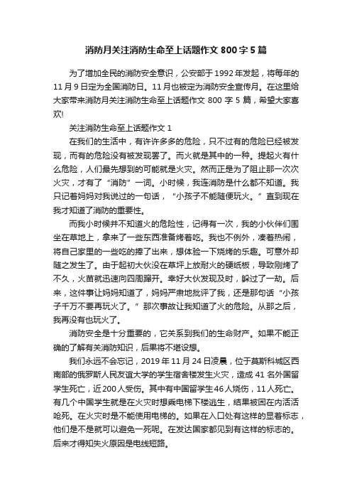 消防月关注消防生命至上话题作文800字5篇