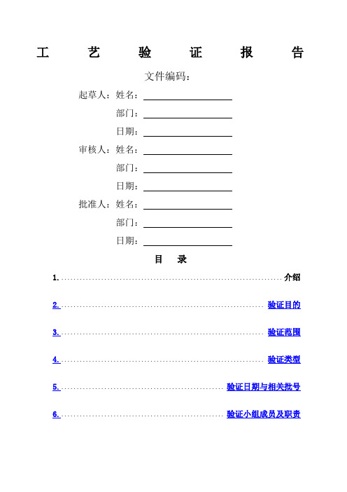 工艺验证报告模板