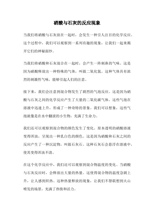 硝酸与石灰的反应现象