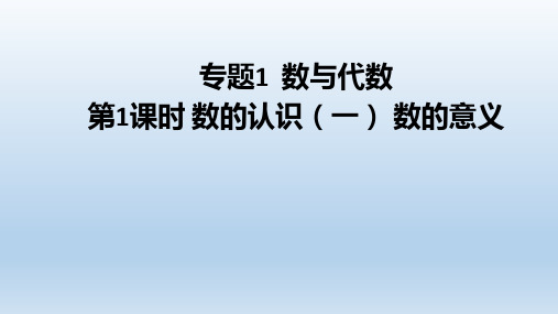 小学六年级数学下册 回顾整理--总复习专题1数与代数 教学课件青岛版六三制(付,166页)