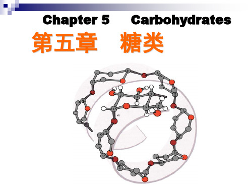 第五章 糖类