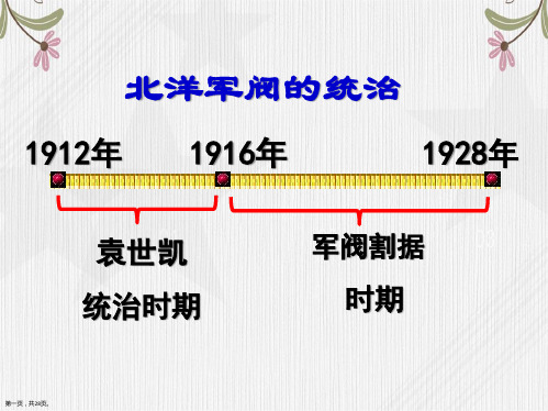 人教部编版八年级上册历史第课 北洋政府的黑暗统治 共张PPT