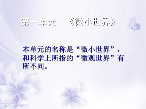 六年级下册科学第一单元复习课件教科版